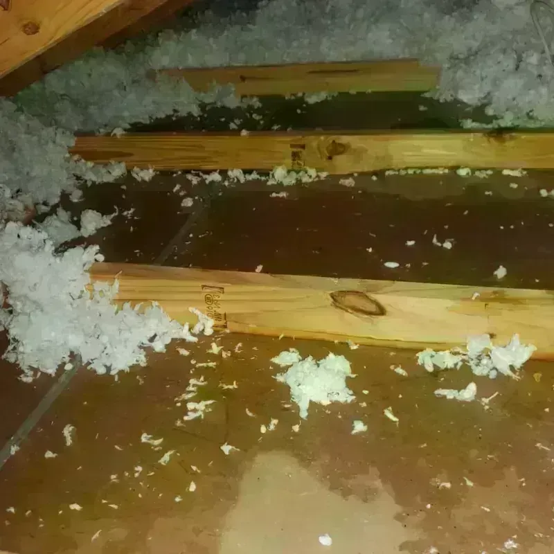 Attic Water Damage in Shingle Springs, CA